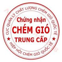 Chem gj0 trung cap Quehuong.wap.sh